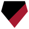 Atlanta Falcons